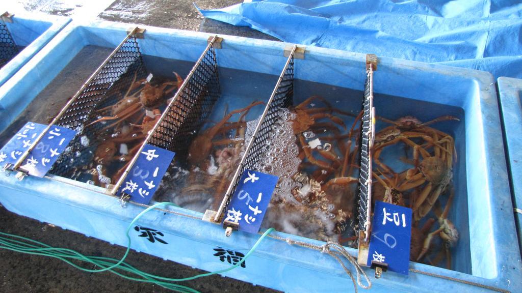 香美町 Shoya酒店 外观 照片