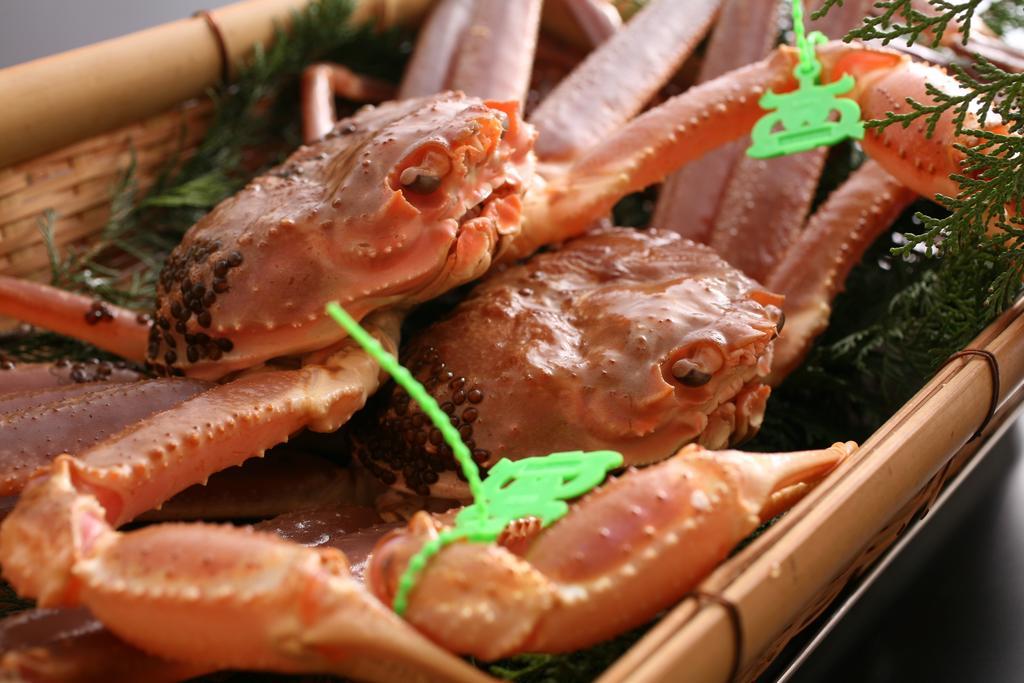 香美町 Shoya酒店 外观 照片
